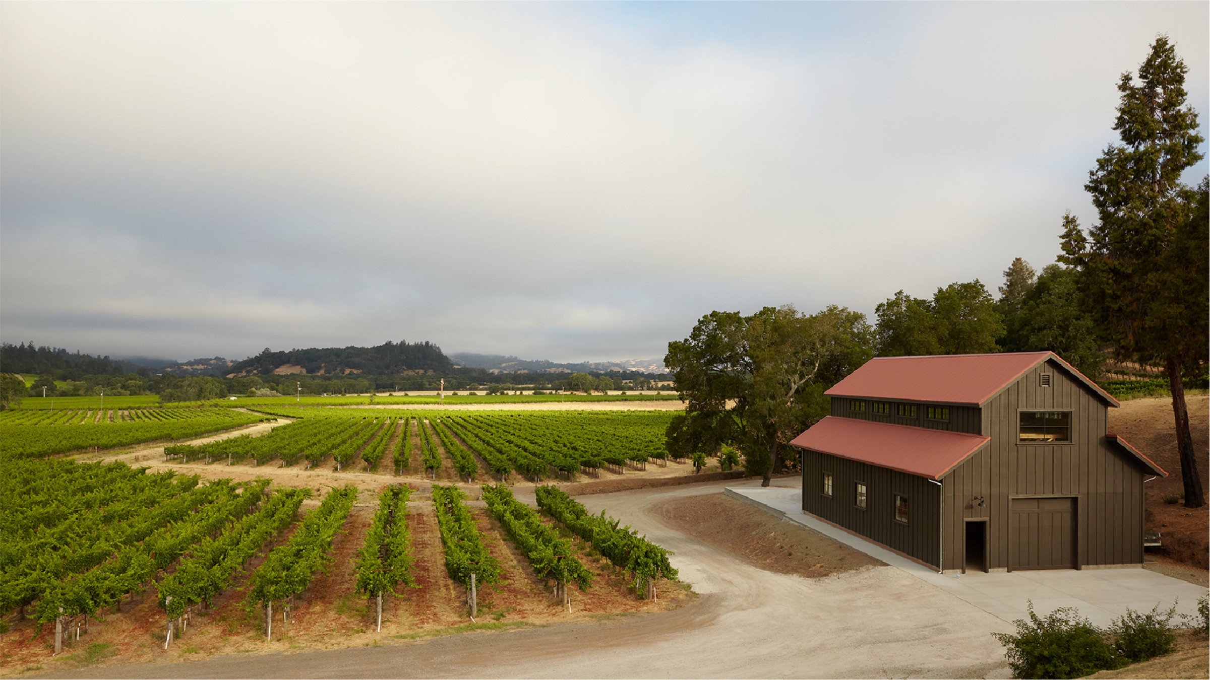 Vineyards